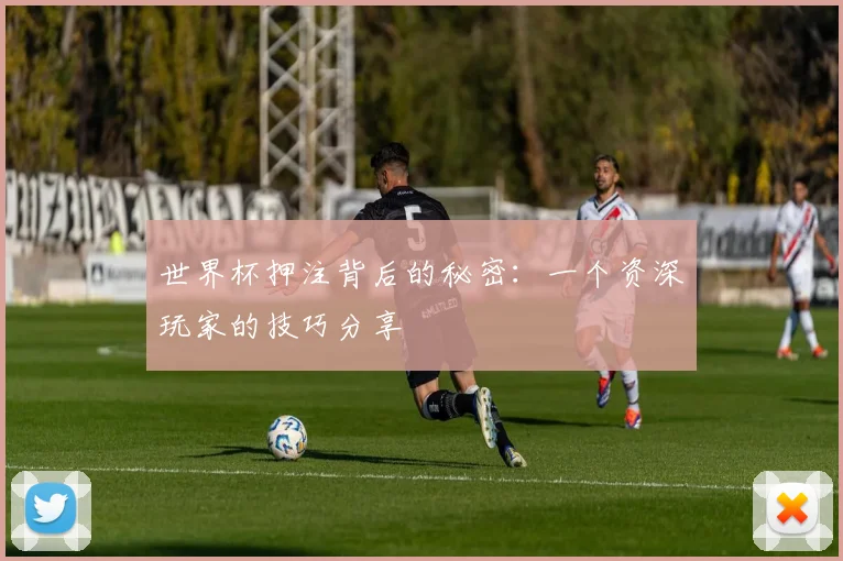 世界杯押注背后的秘密:一个资深玩家的技巧分享