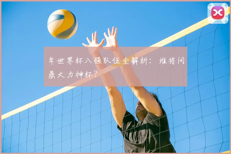 年世界杯八强队伍全解析:谁将问鼎大力神杯?