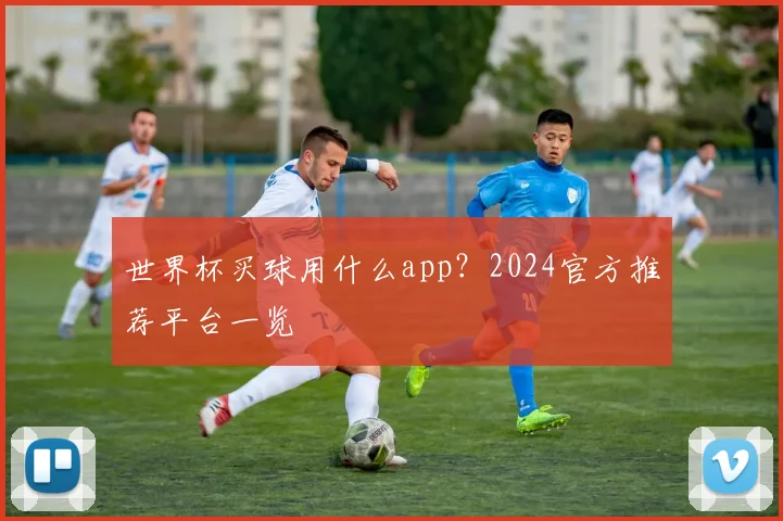 世界杯买球用什么app？2024官方推荐平台一览
