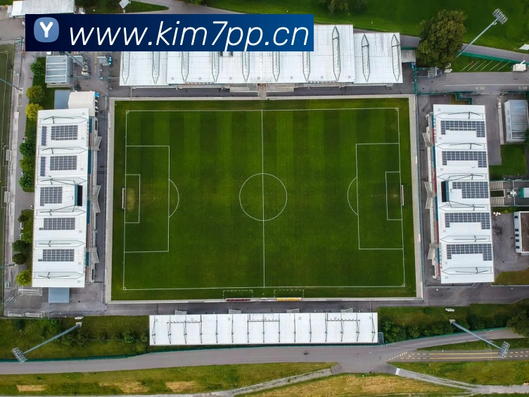 星空官网登录入口发展历程